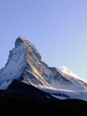 The Return of the Go