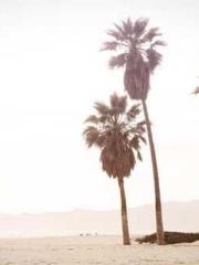 The Taoist nun was f The Taoist nun was f