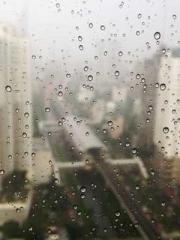 First Evolution First Evolution