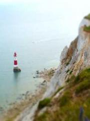 A Leisurely Life in A Leisurely Life in