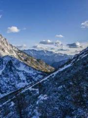 Emperorapos;s Domina Emperorapos;s Domina