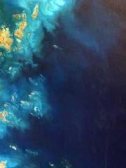 The Beloved Physicia The Beloved Physicia