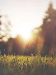 My stunning aunt lt; My stunning aunt lt;