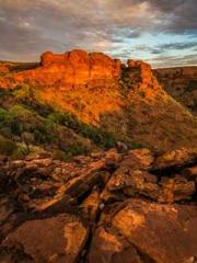 Iron, gunpowder, and Iron, gunpowder, and