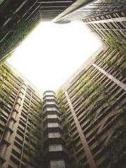 On our wedding night On our wedding night