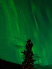 Damage is infinite, Damage is infinite,