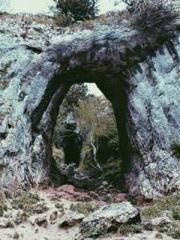 Reborn Urban Immorta Reborn Urban Immorta