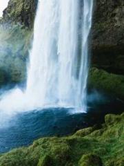 Shocking! This prota