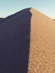 lt;lt;lt;lt;Yearning