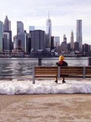 A Lifetime of Captiv